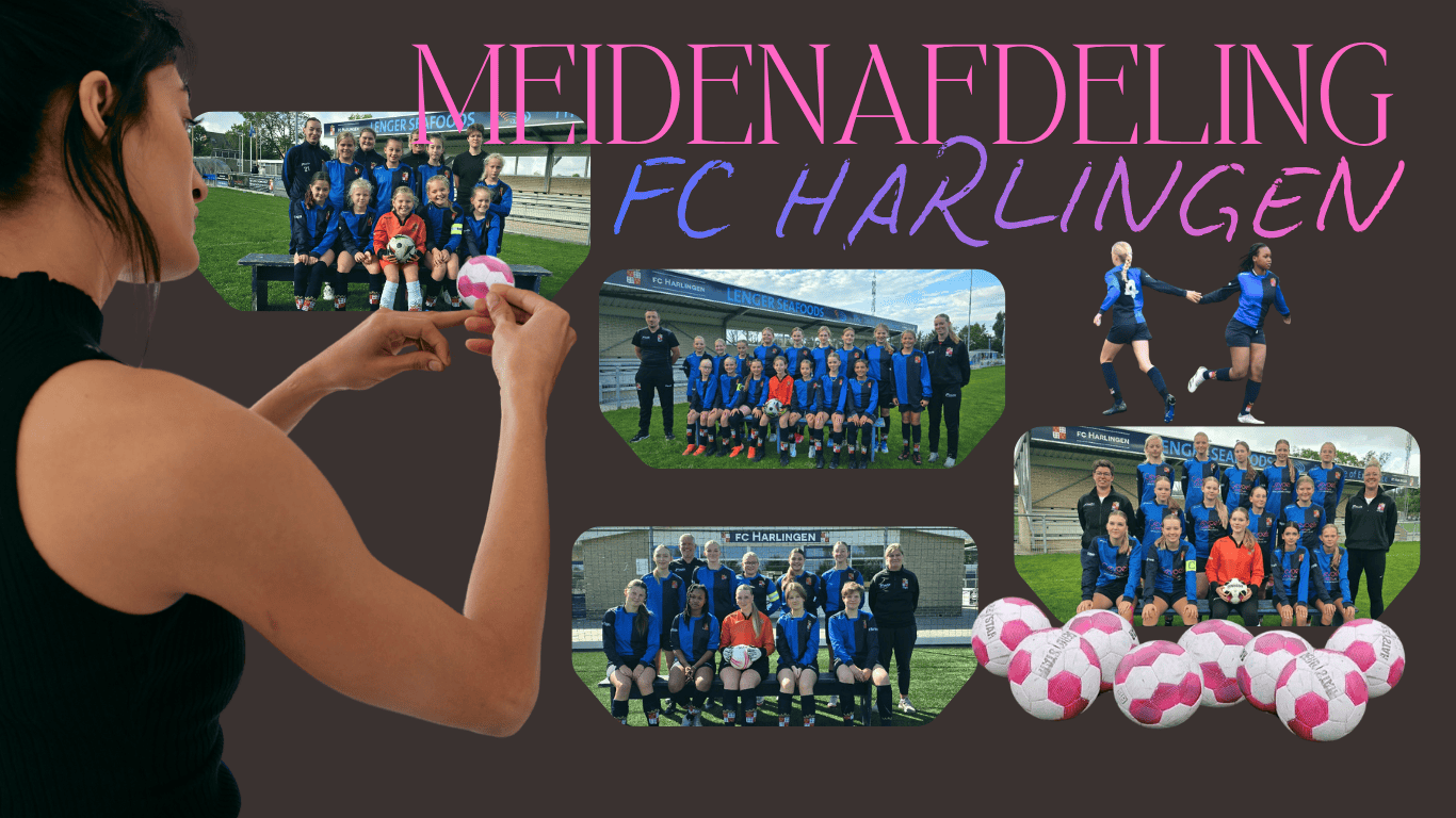 Veel progressie bij meidenteams fc Harlingen